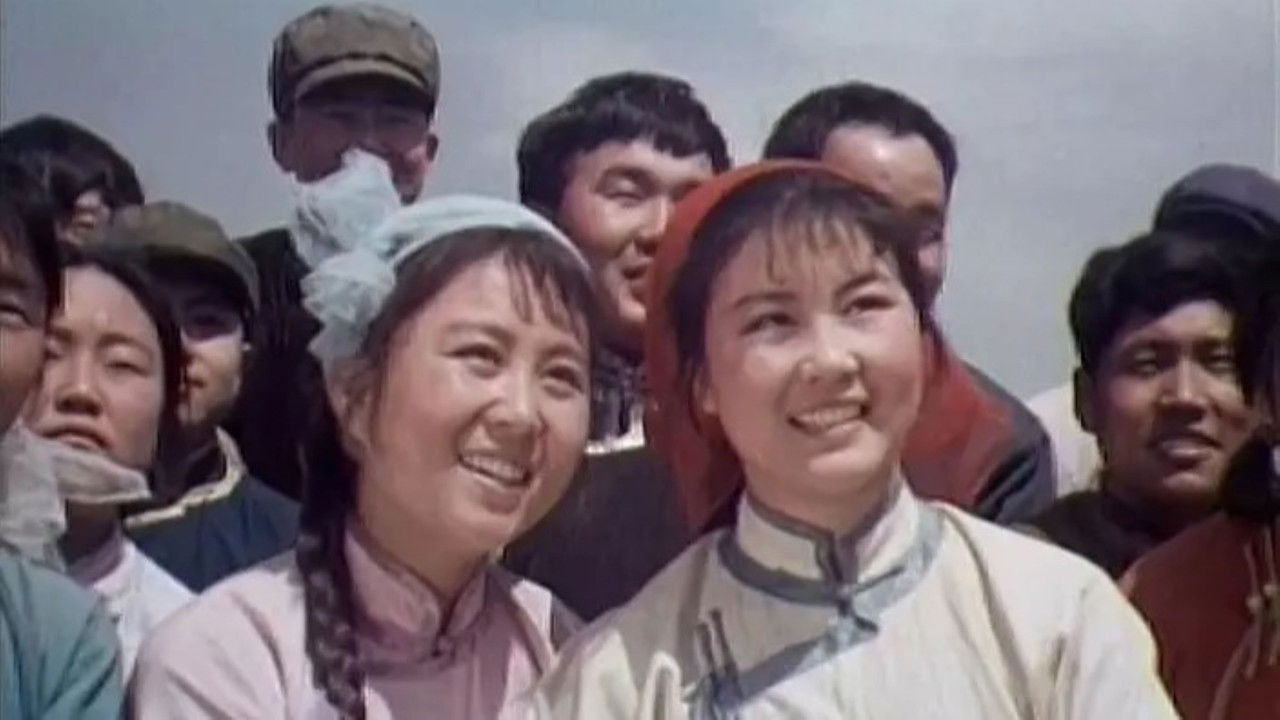 战地黄花 backdrop