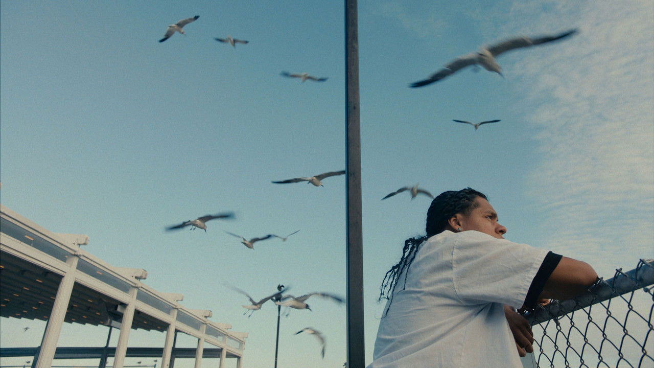 Mad Bills to Pay (or Destiny, dile que no soy malo) backdrop