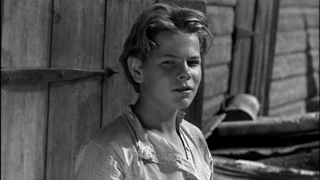 My Apprenticeship backdrop