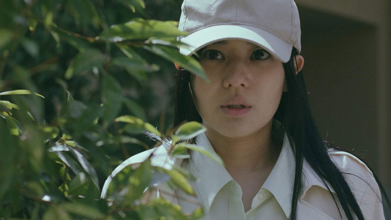 Fugitive Flower backdrop