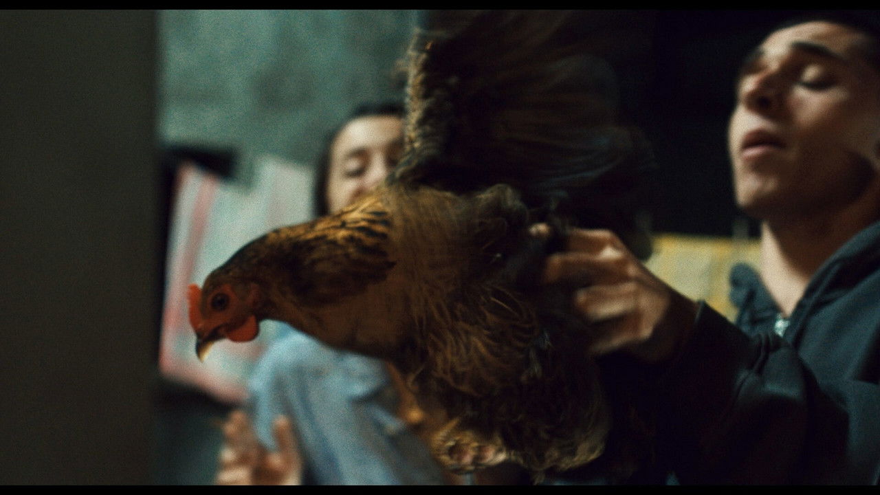 Just Let Me Dance backdrop