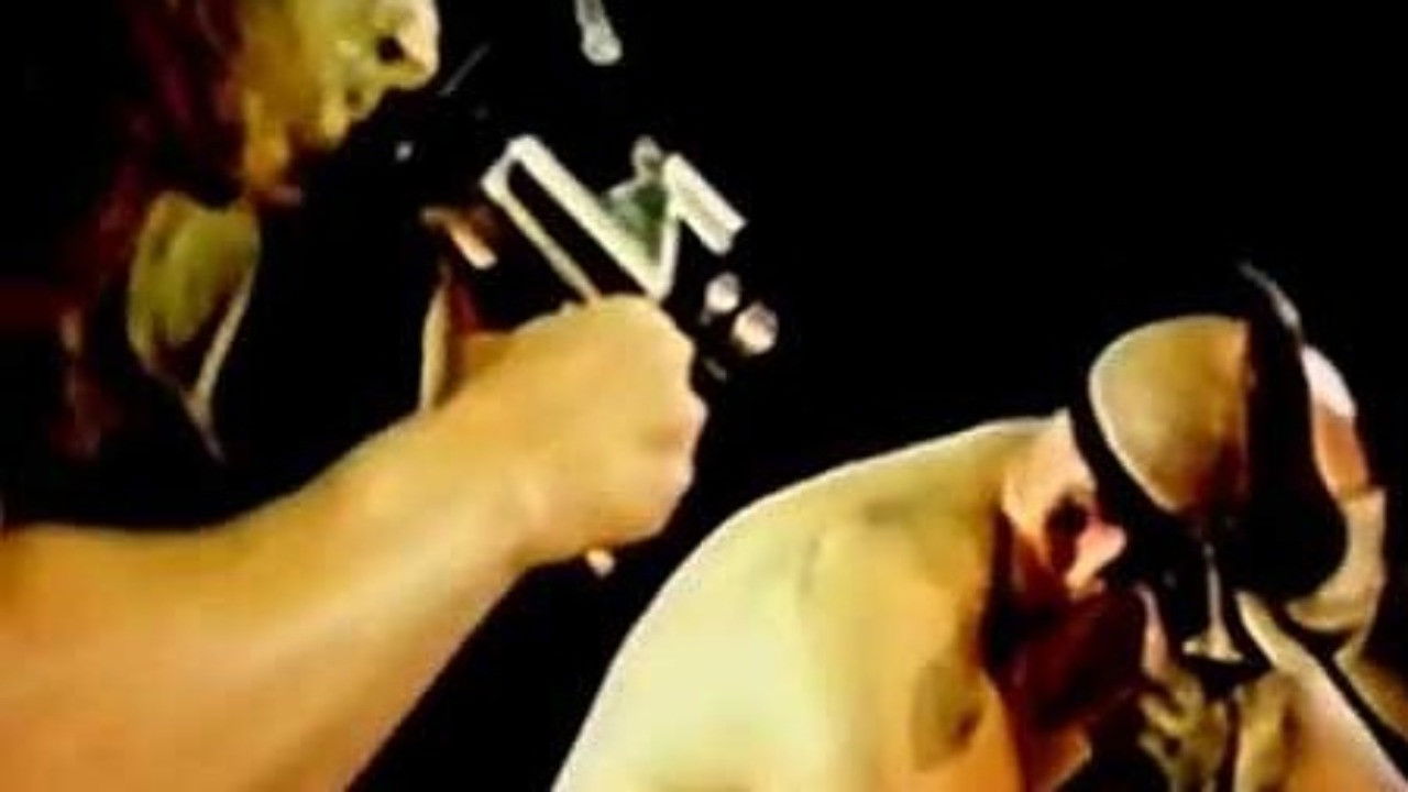 American Guinea Pig: Bouquet of Guts and Gore backdrop