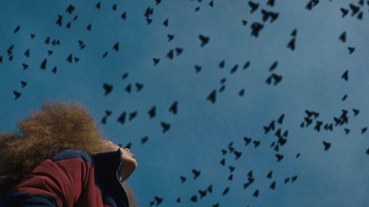 Broken Bird backdrop