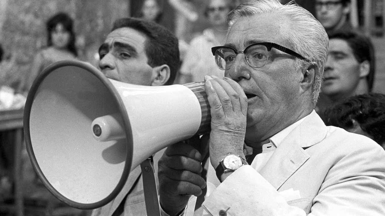 Vittorio D. backdrop