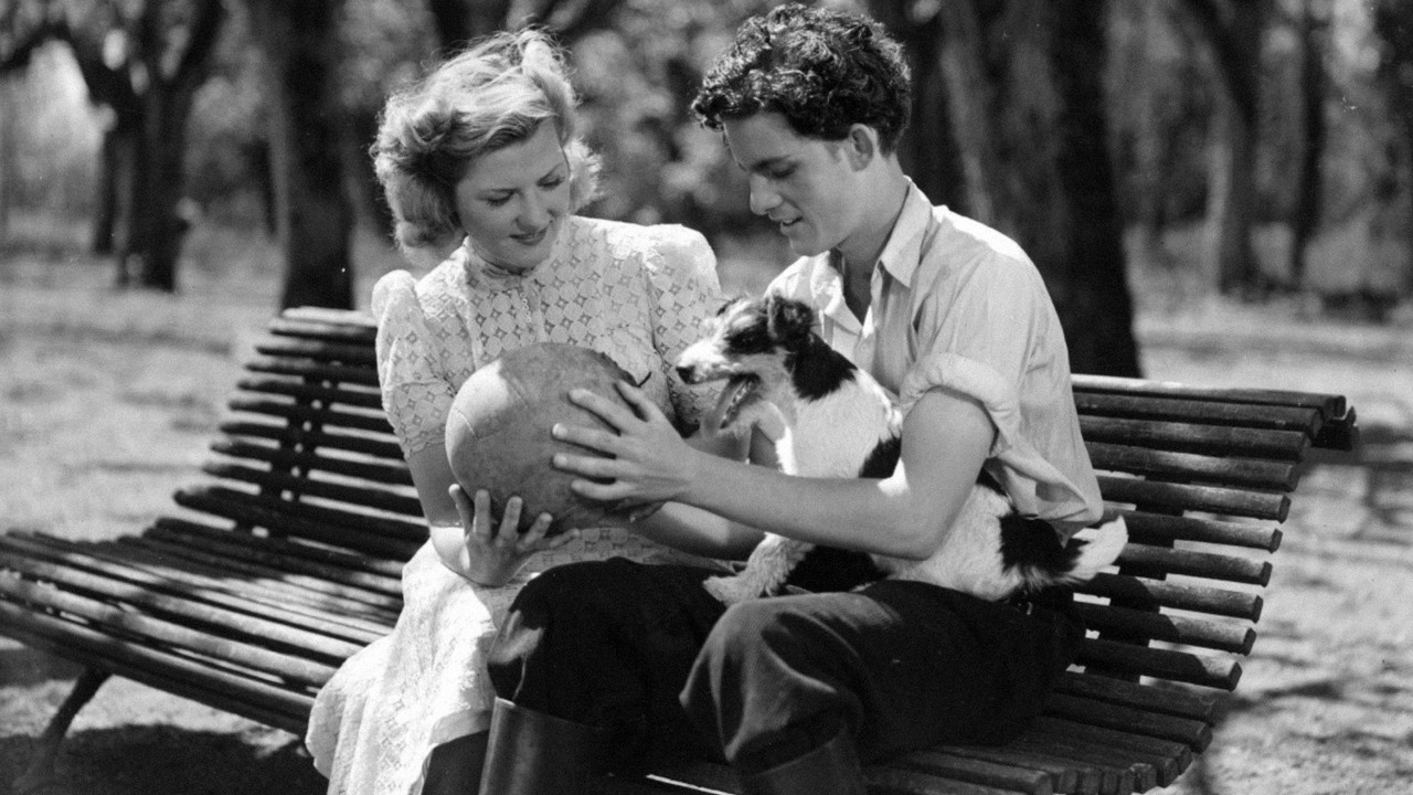 His Grace's Will backdrop