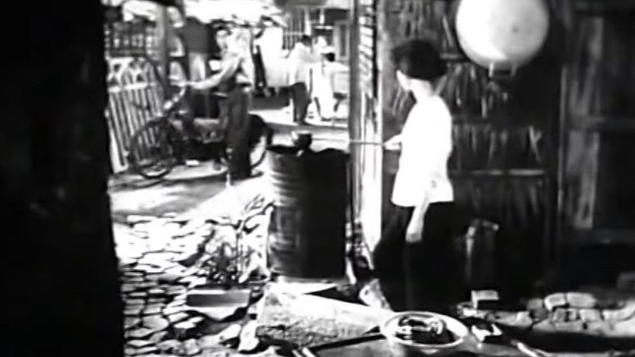 Nguyen Van Troi backdrop