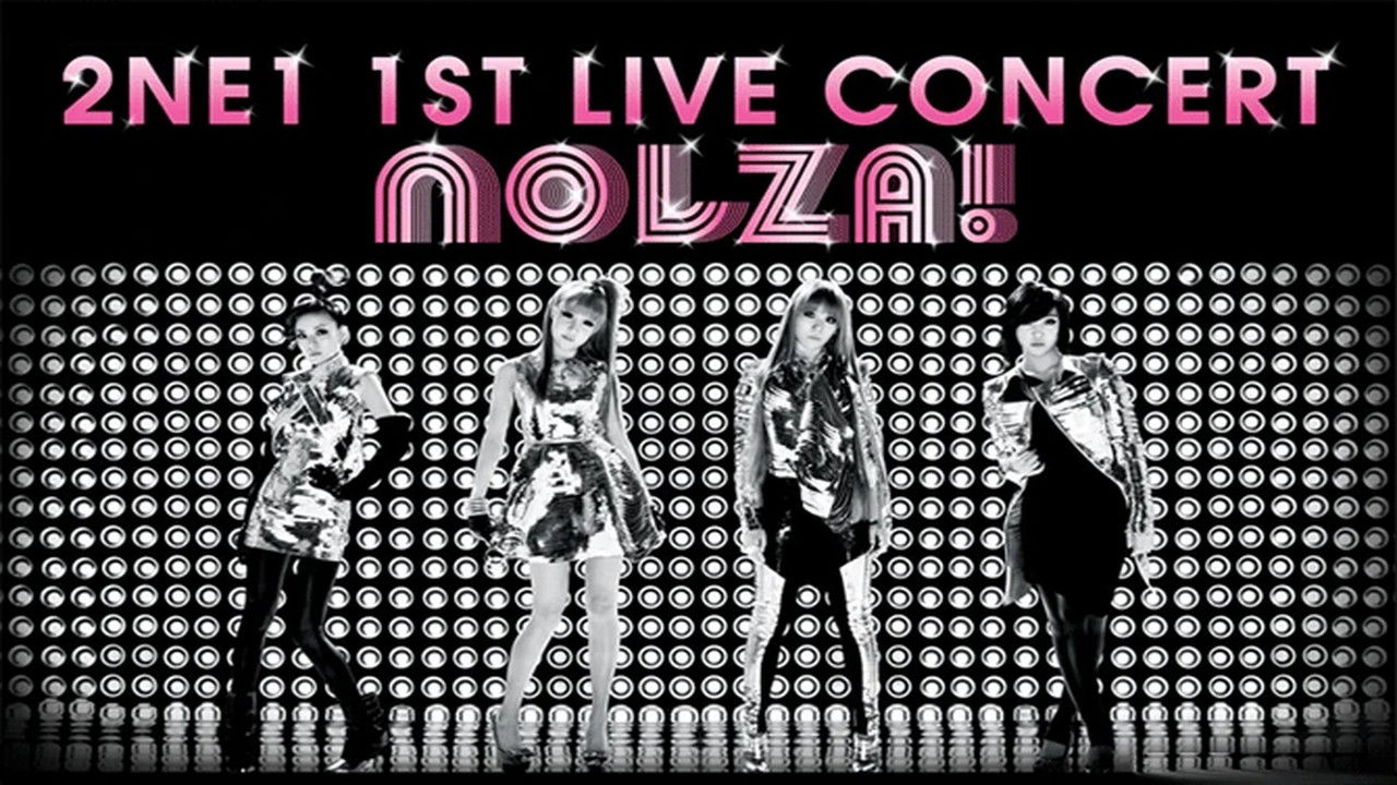 2NE1: 1st Live Concert NOLZA backdrop