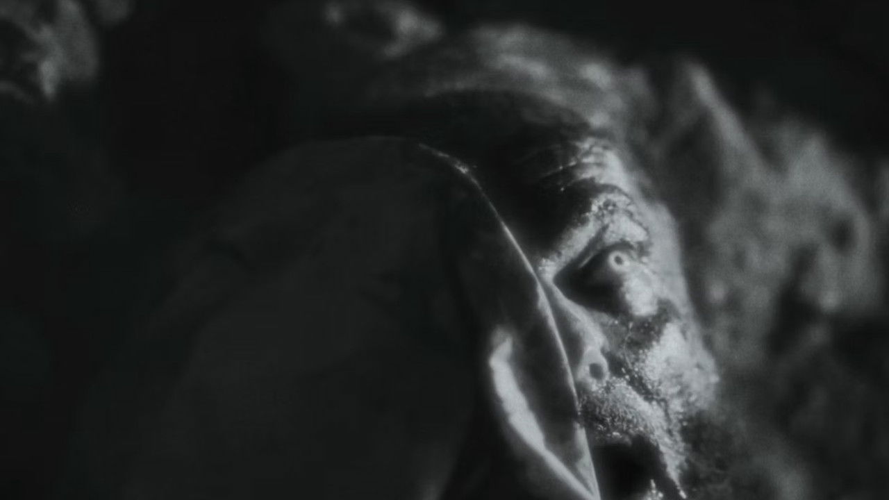 White Gardenia: The King James Bible backdrop