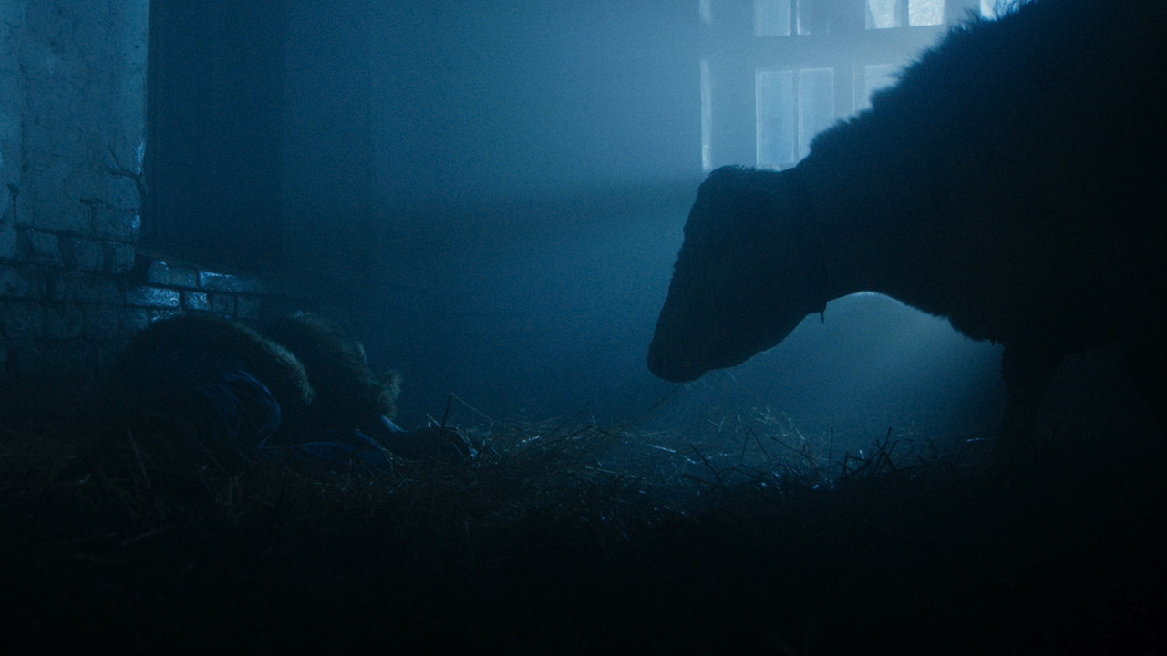 Beef of Happiness backdrop