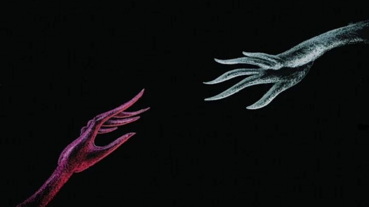 Balançando na Gangorra backdrop