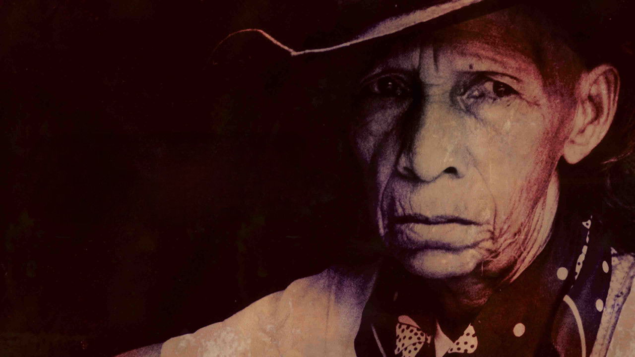 Dona Helena backdrop