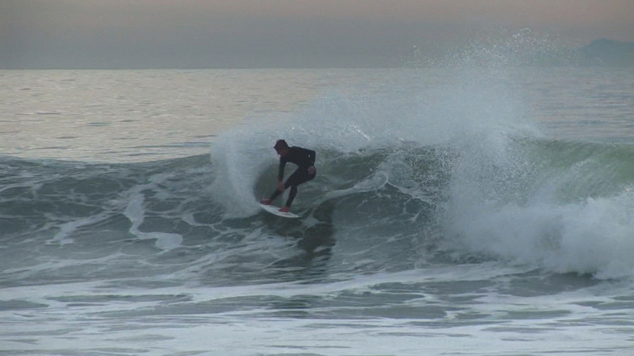 Darkhorse The Bro Tape backdrop