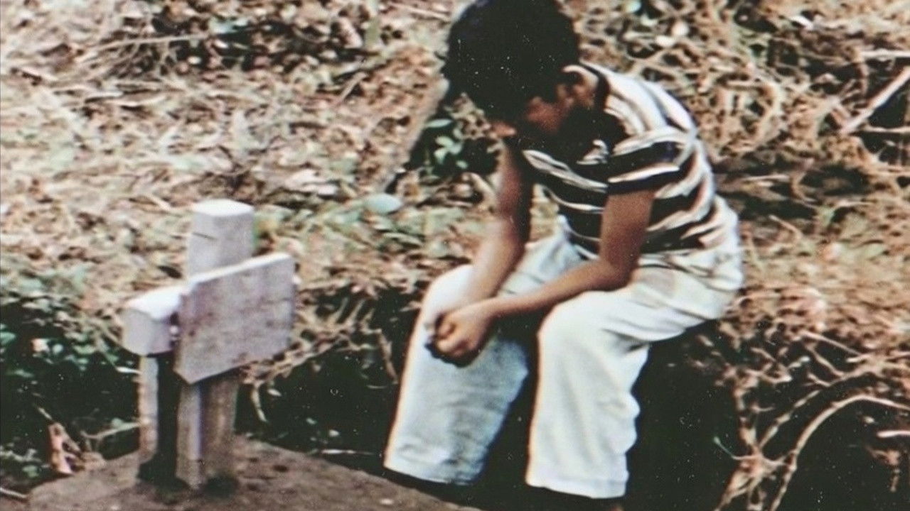 A Heroic Crusade backdrop