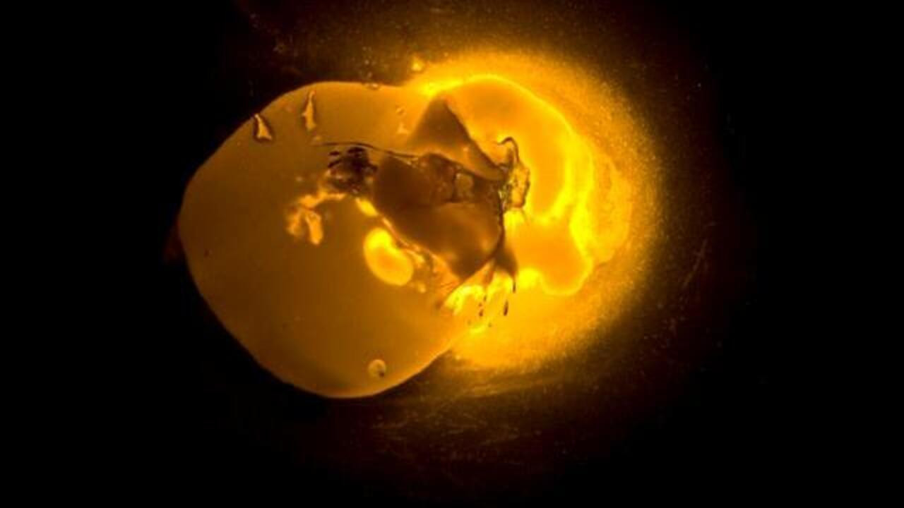 Qui a mangé la soupe cosmique? backdrop