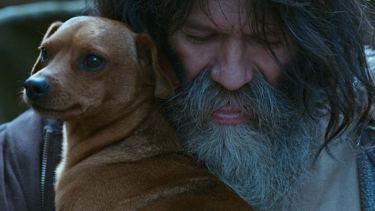 Pack of Dogs backdrop