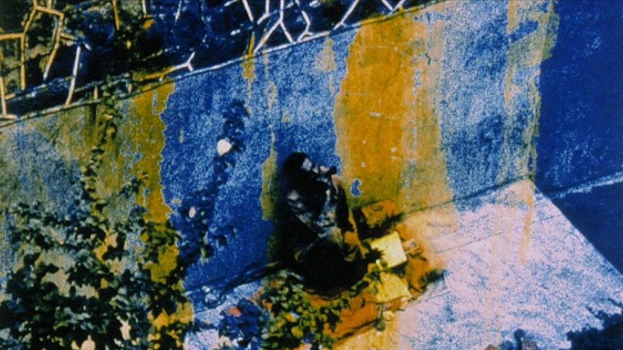 Friendly Witness backdrop