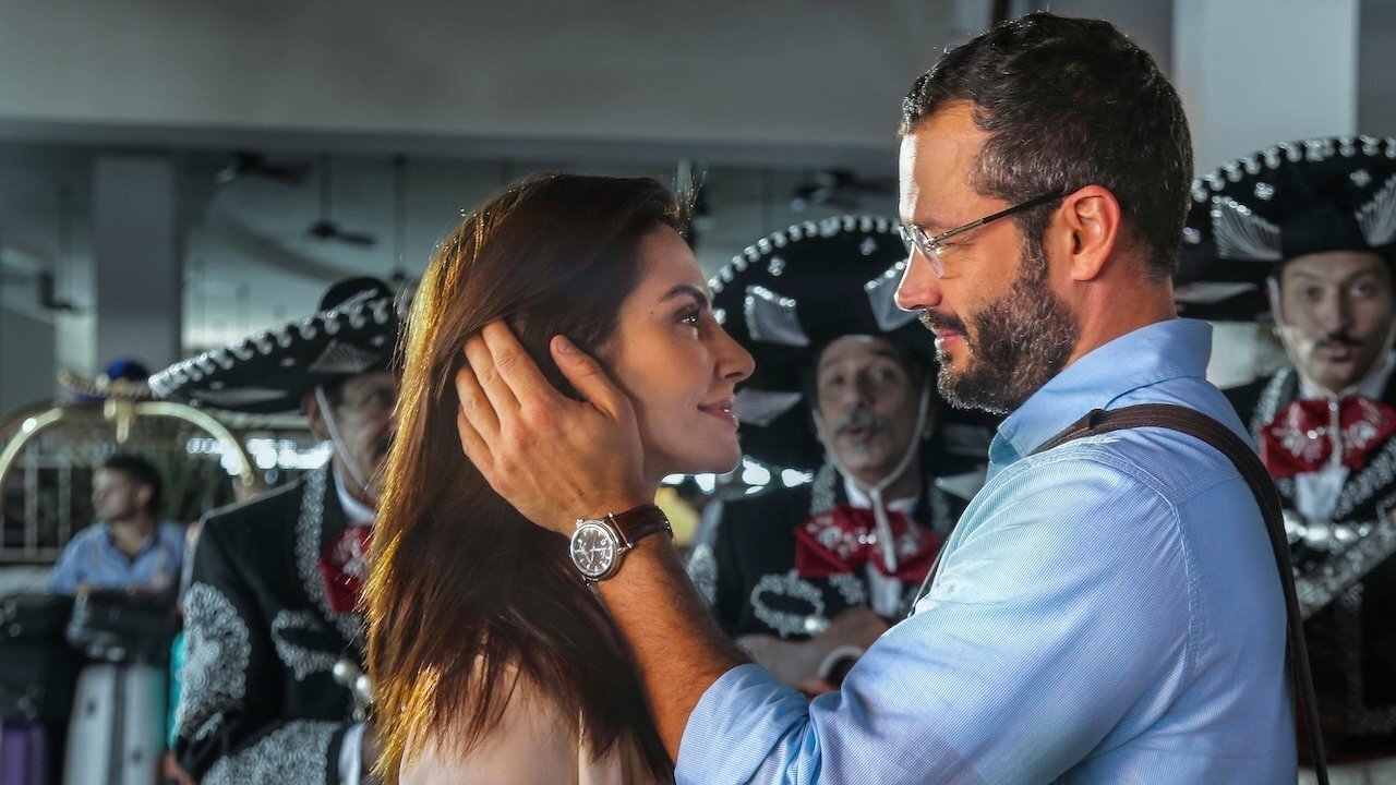 Any Stray Cat 2 backdrop