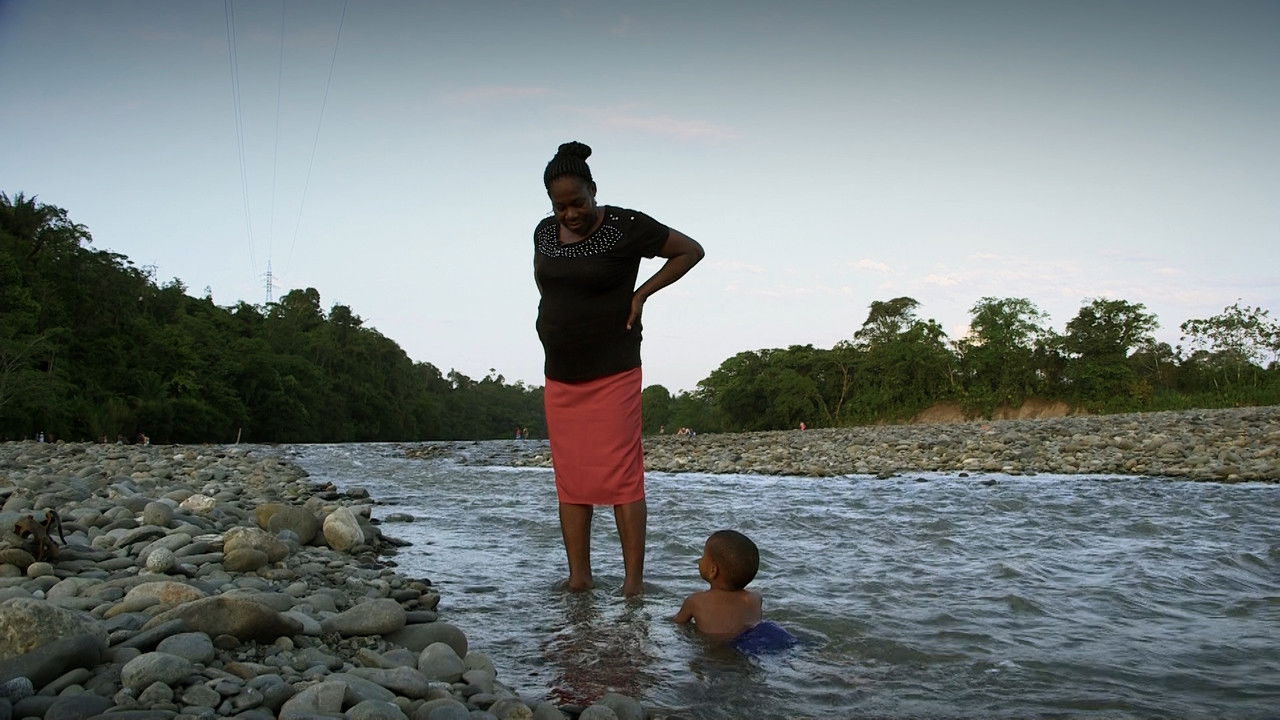 Pacha's Notebook backdrop