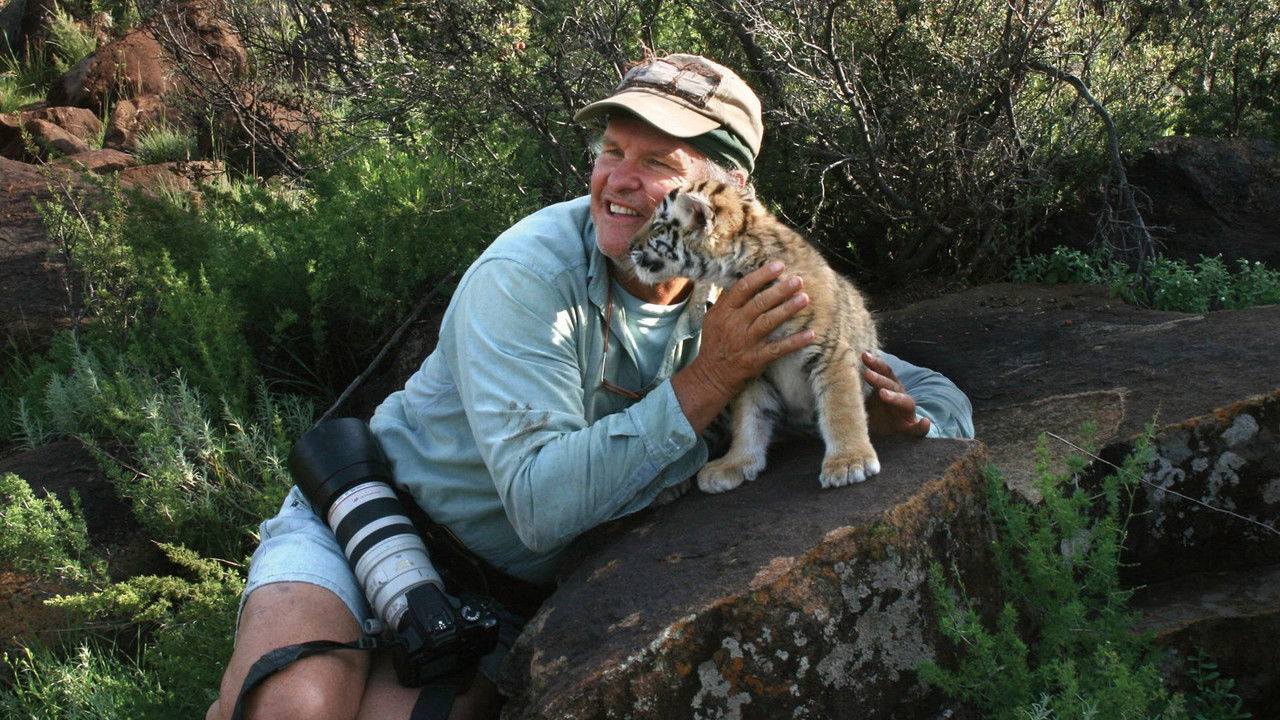 Tiger Man of Africa backdrop