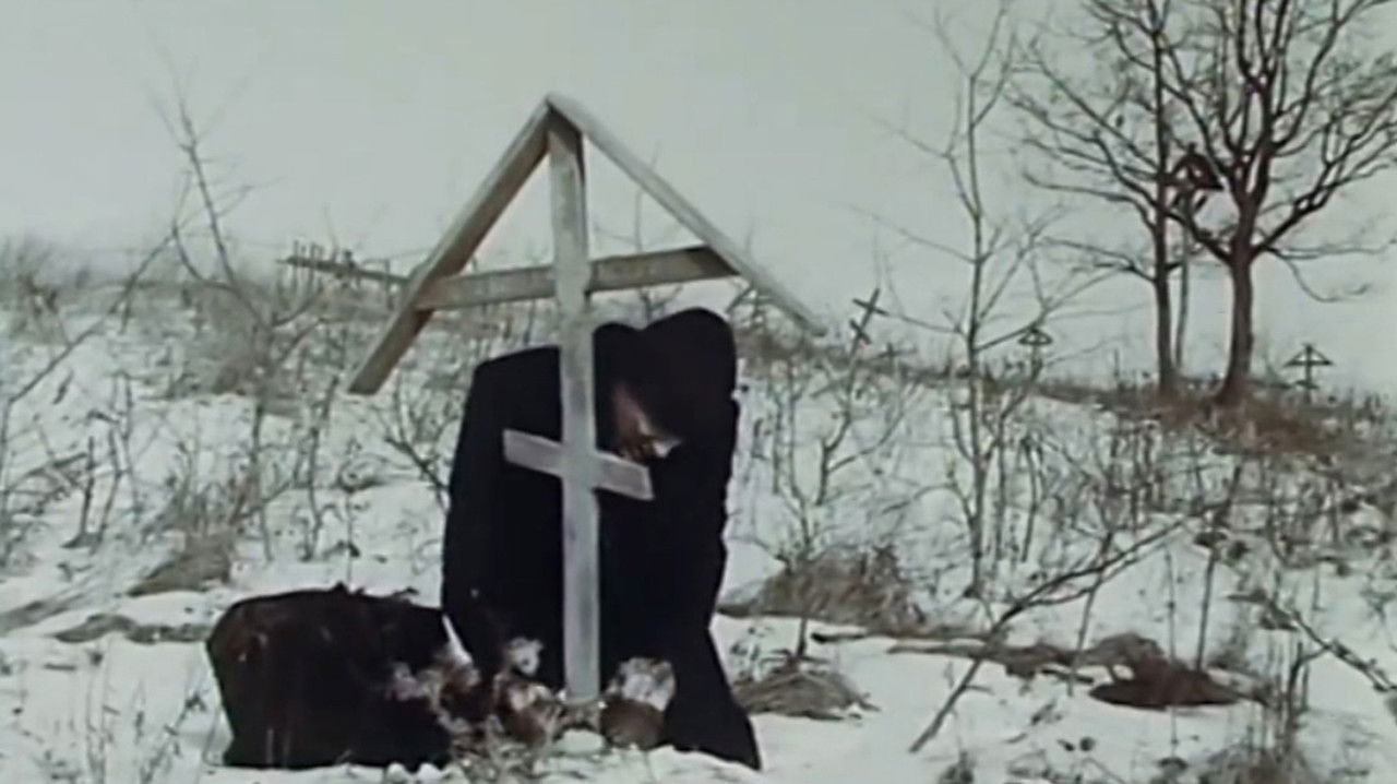 Identification backdrop