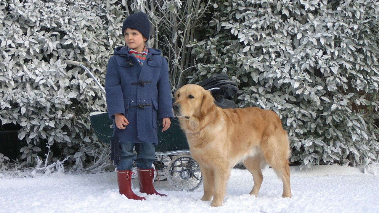 After Thomas backdrop