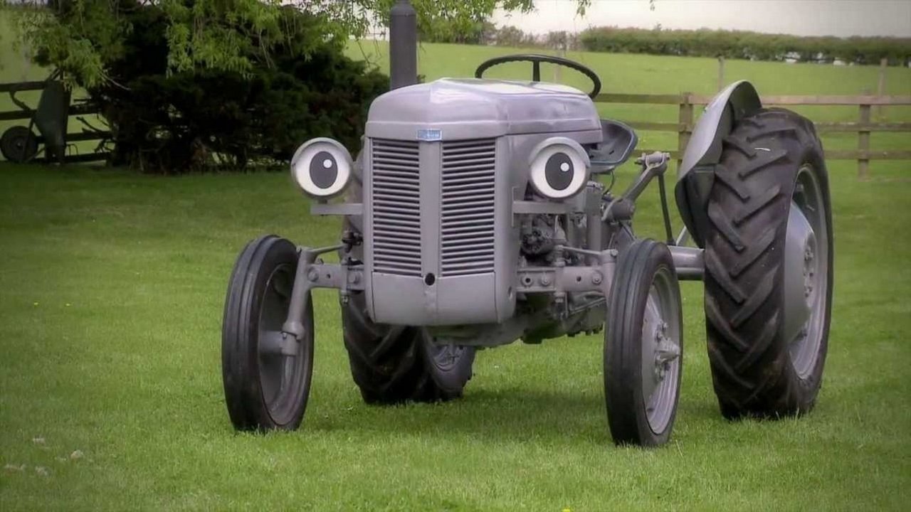 Little Grey Fergie: Country Fun! backdrop