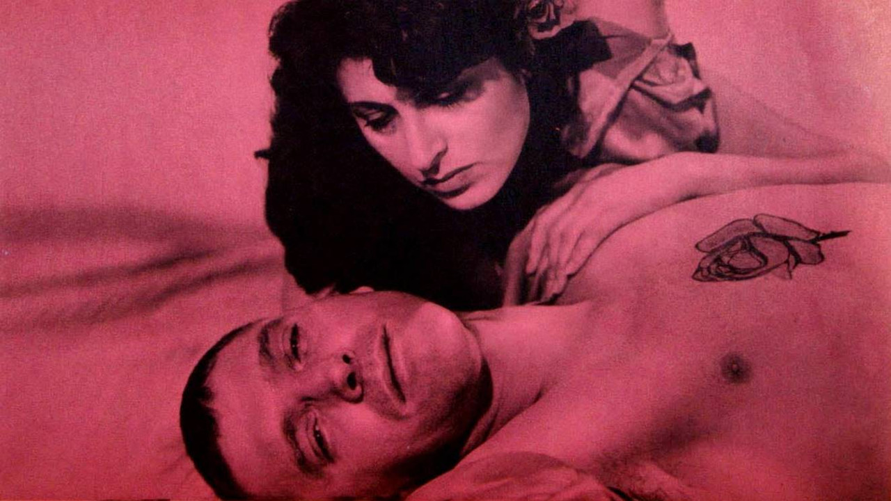 The Rose Tattoo backdrop