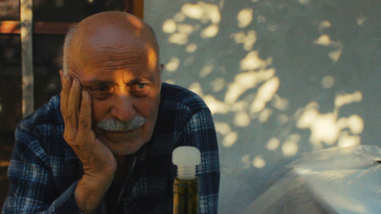 Cornelian Cherries backdrop