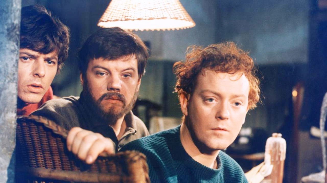 Det er ikke appelsiner - det er heste backdrop