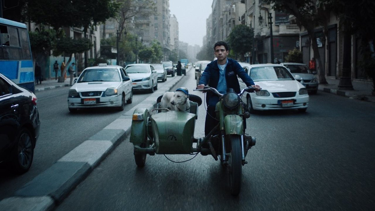 Seeking Haven for Mr. Rambo backdrop