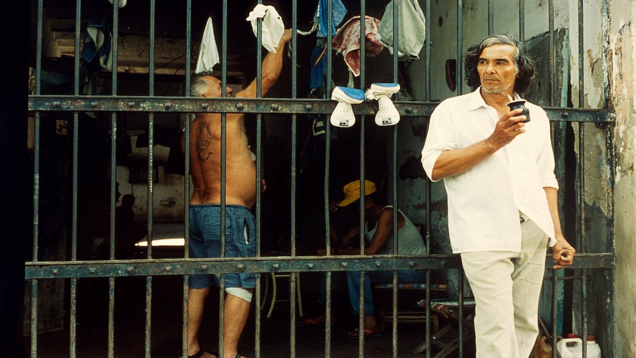 Los Muertos backdrop