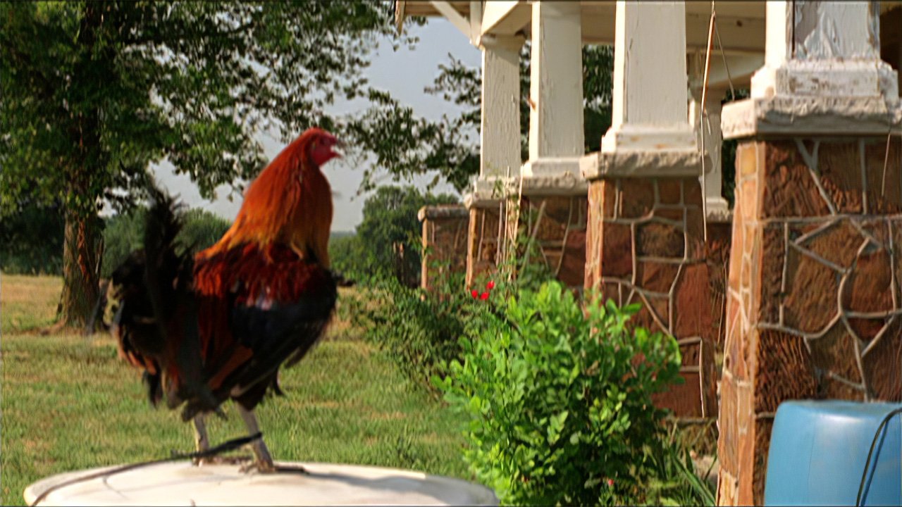 The Round and Round backdrop