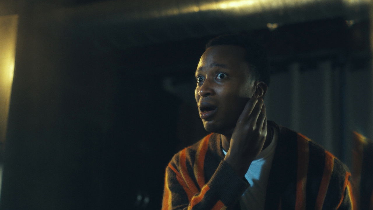 The Housefly backdrop