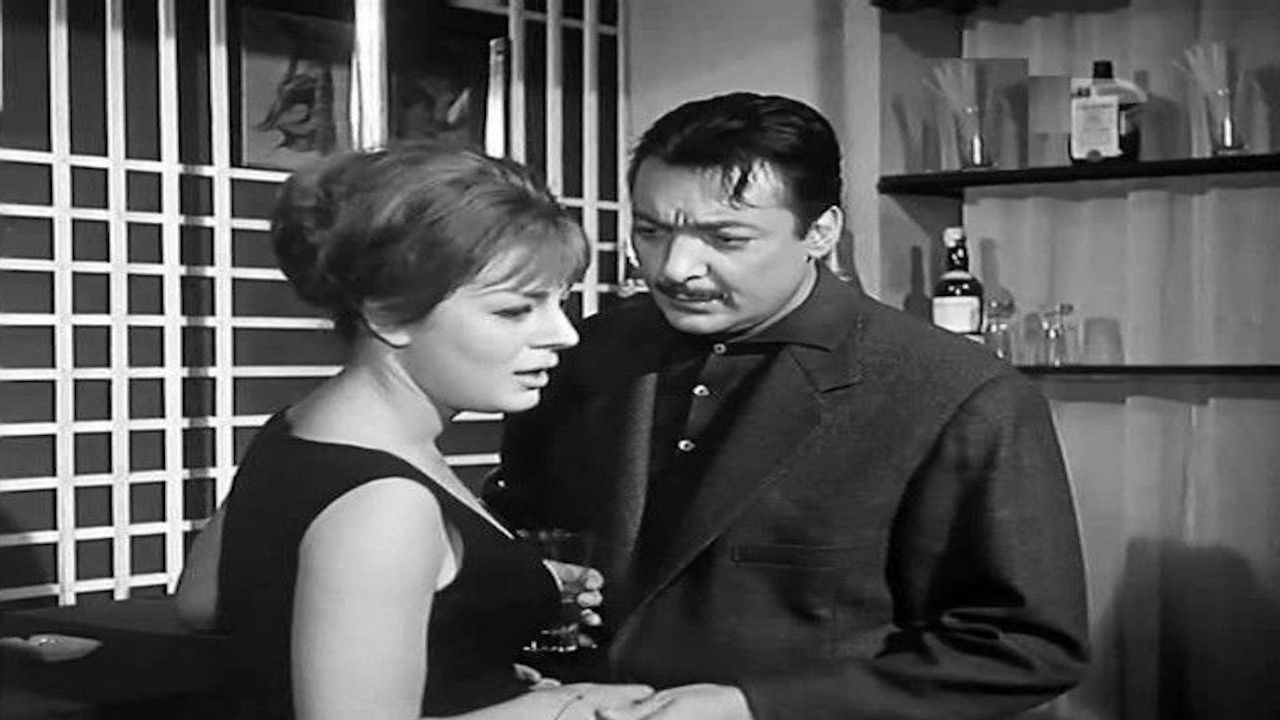 الباحثة عن الحب backdrop