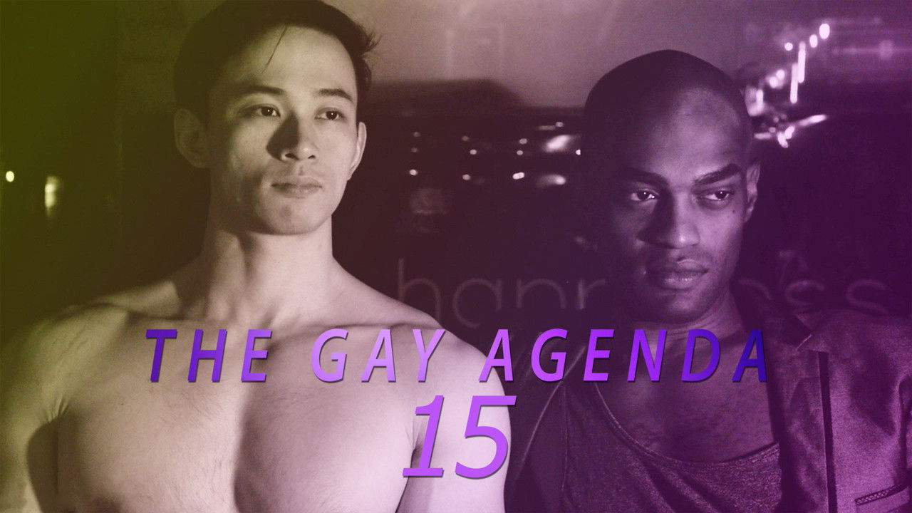The Gay Agenda 15 backdrop