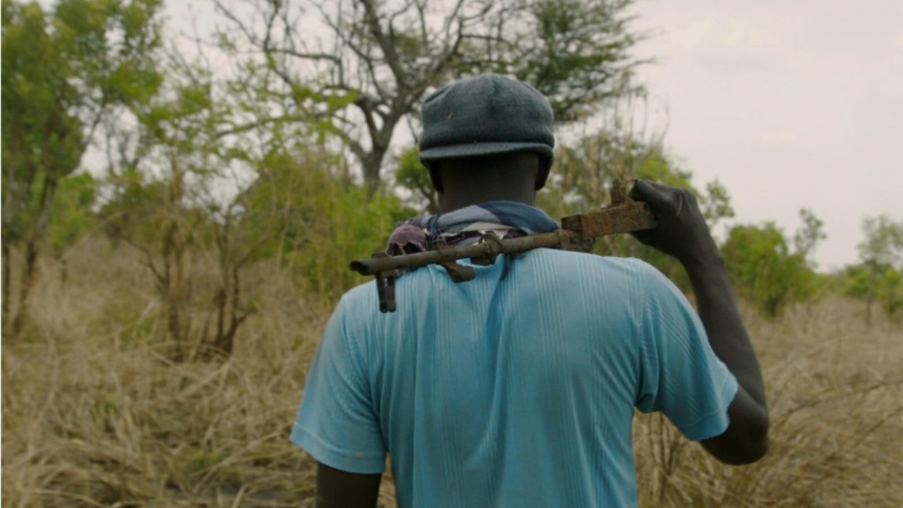 Wrong Elements backdrop