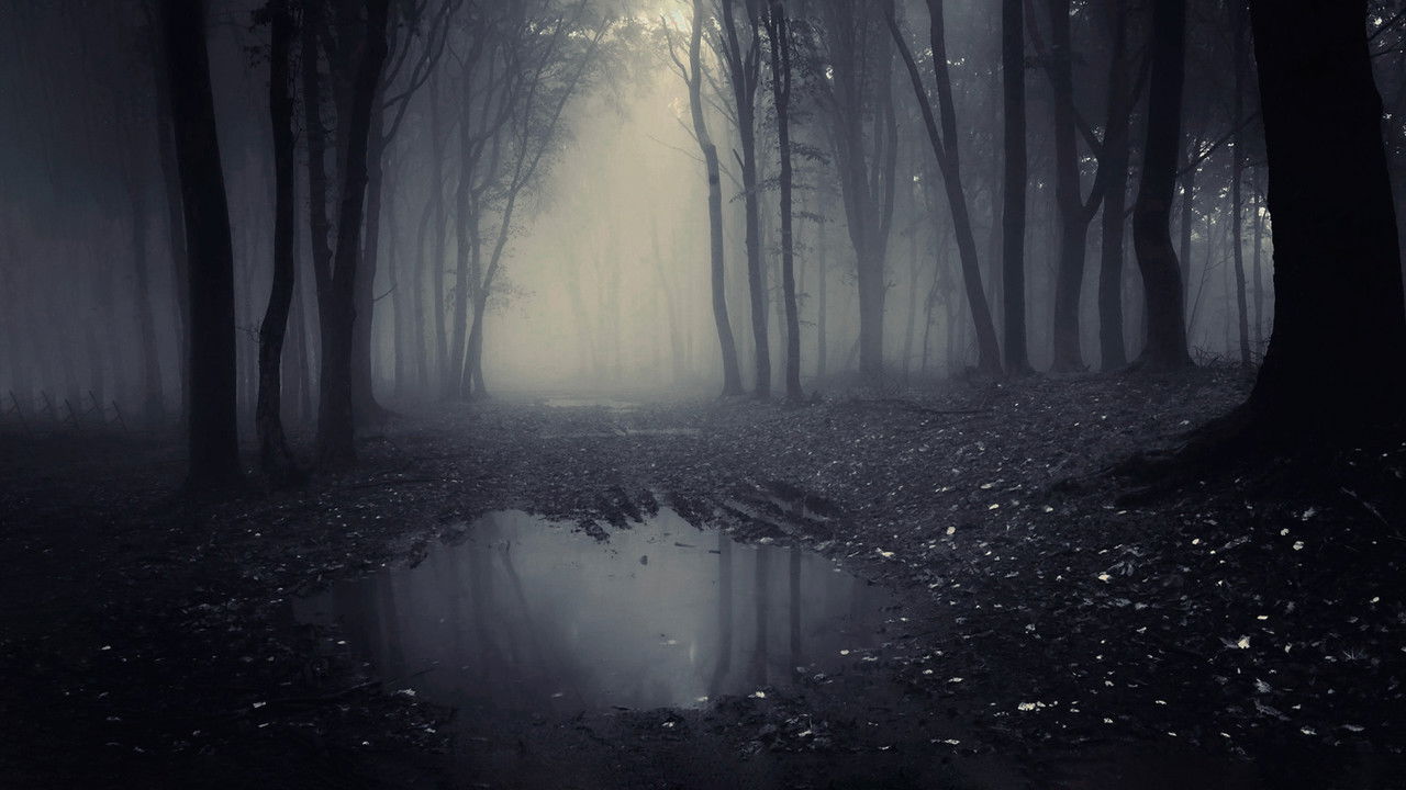 A Lenda do Homem Pássaro backdrop