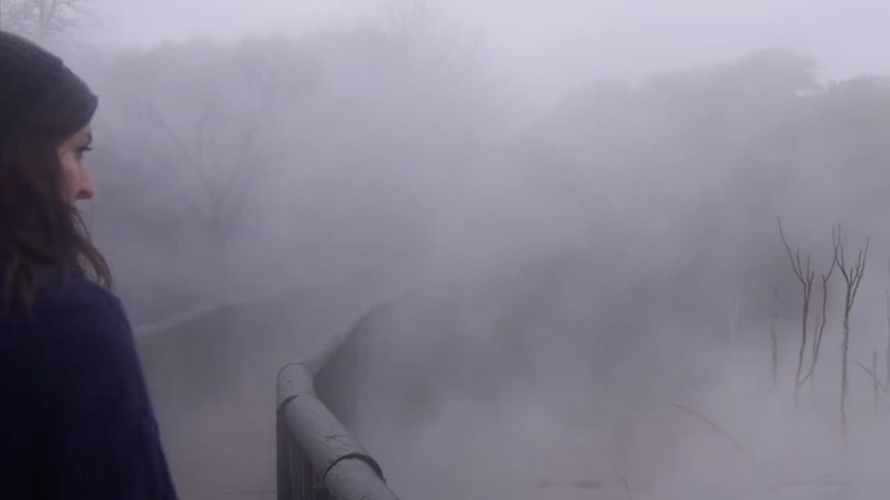 Round the Decay backdrop