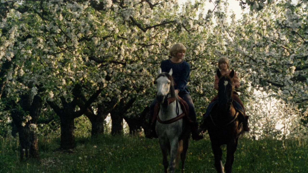 The Brothers Lionheart backdrop