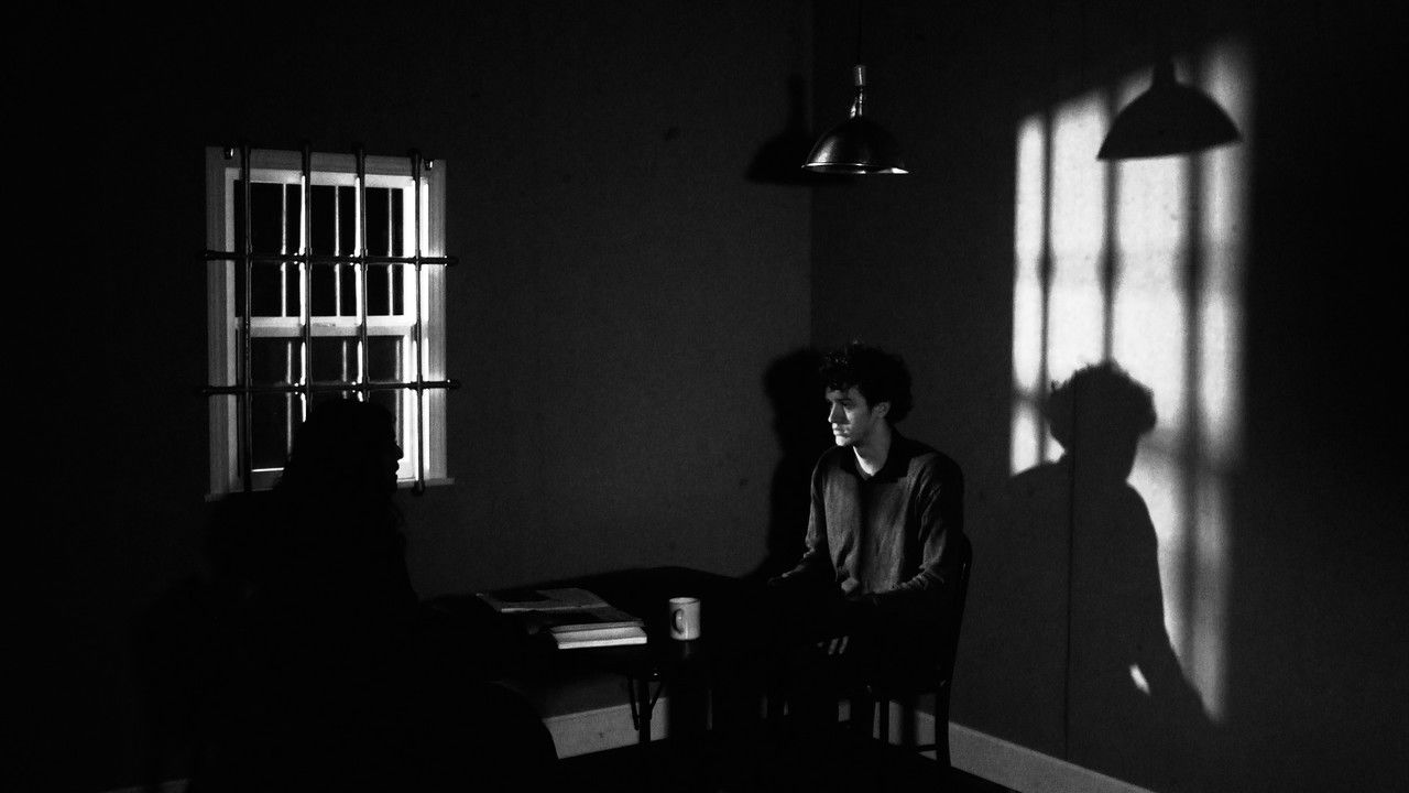 The Regular backdrop