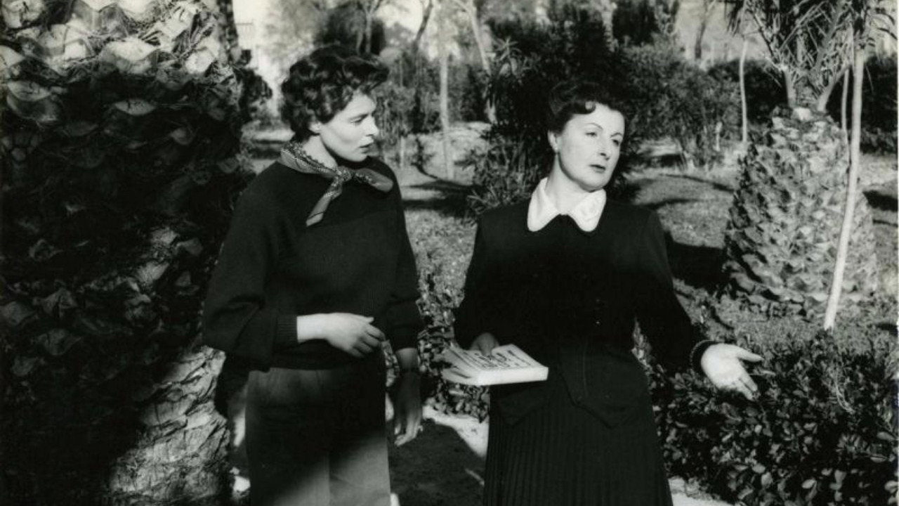 The Chicken backdrop