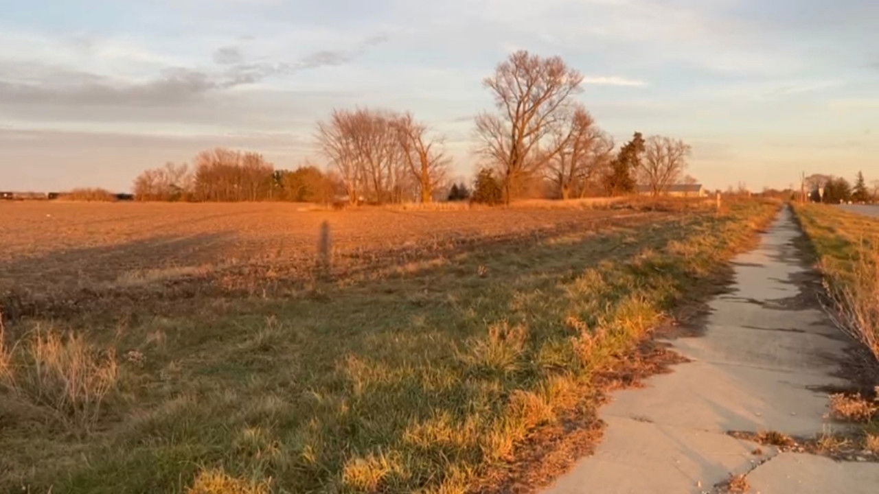 Revenge Of Pazzo Cane backdrop