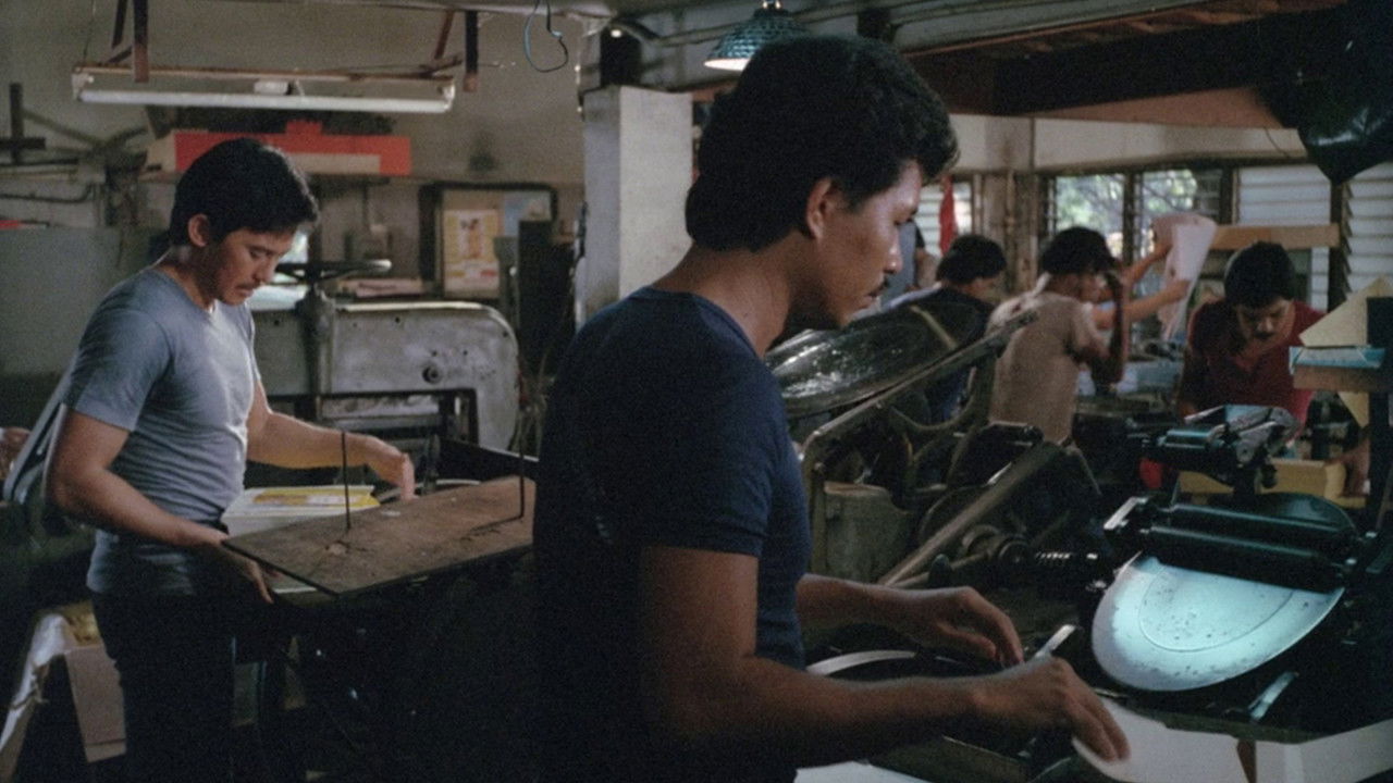 This Is My Country backdrop