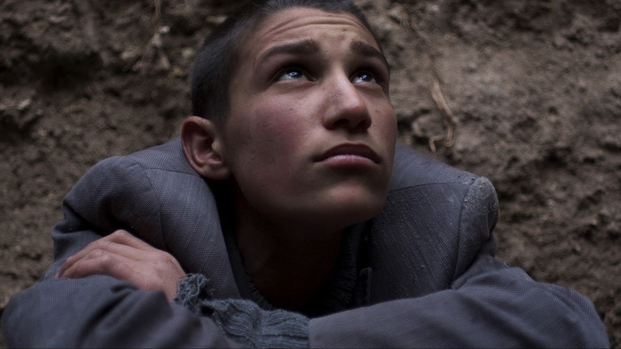 Empire of the Rabbits backdrop