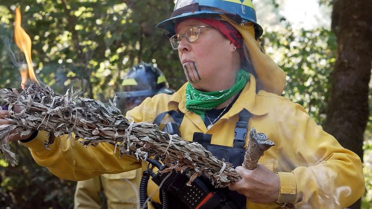 Firelighters: Fire is medicine backdrop