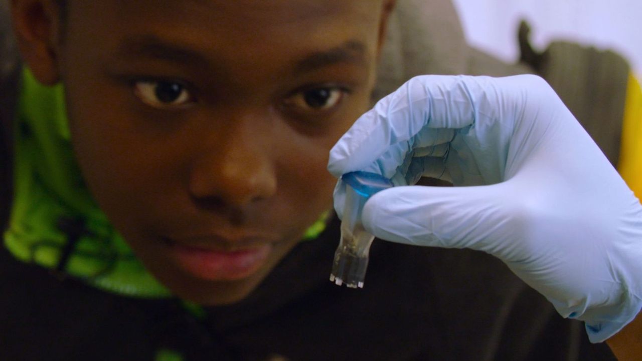 Human Nature backdrop