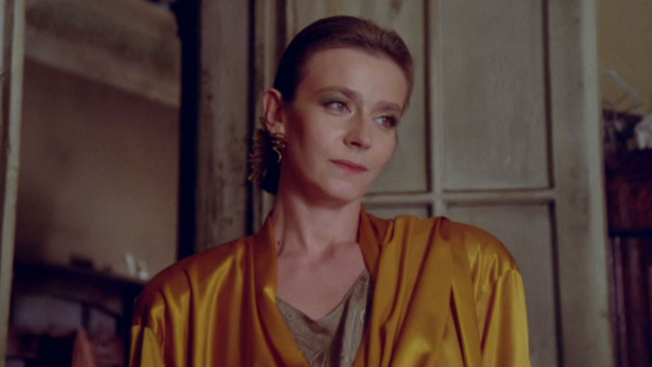 Butterflies backdrop