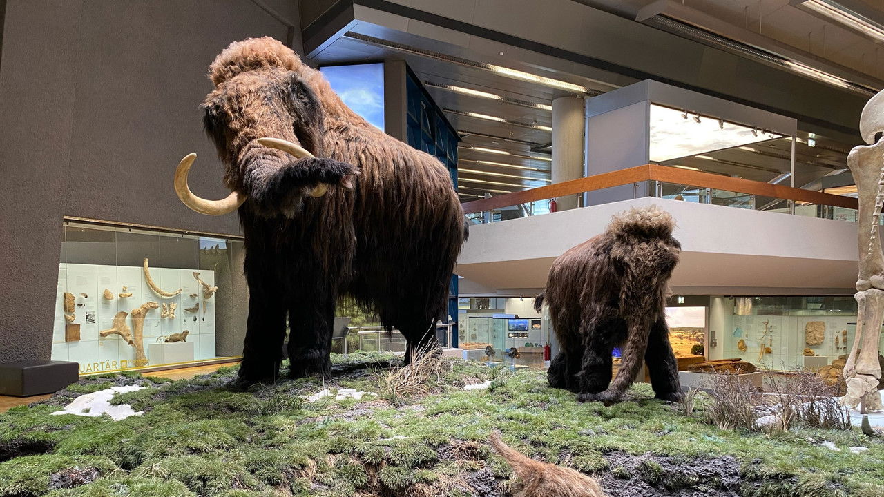 Ein Mammut-Projekt – Wiedergeburt ausgestorbener Arten backdrop