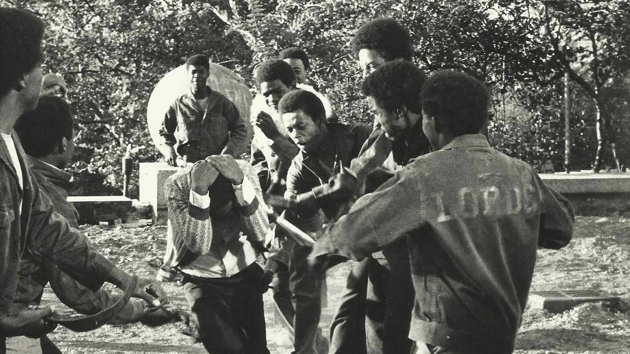 The Education of Sonny Carson backdrop