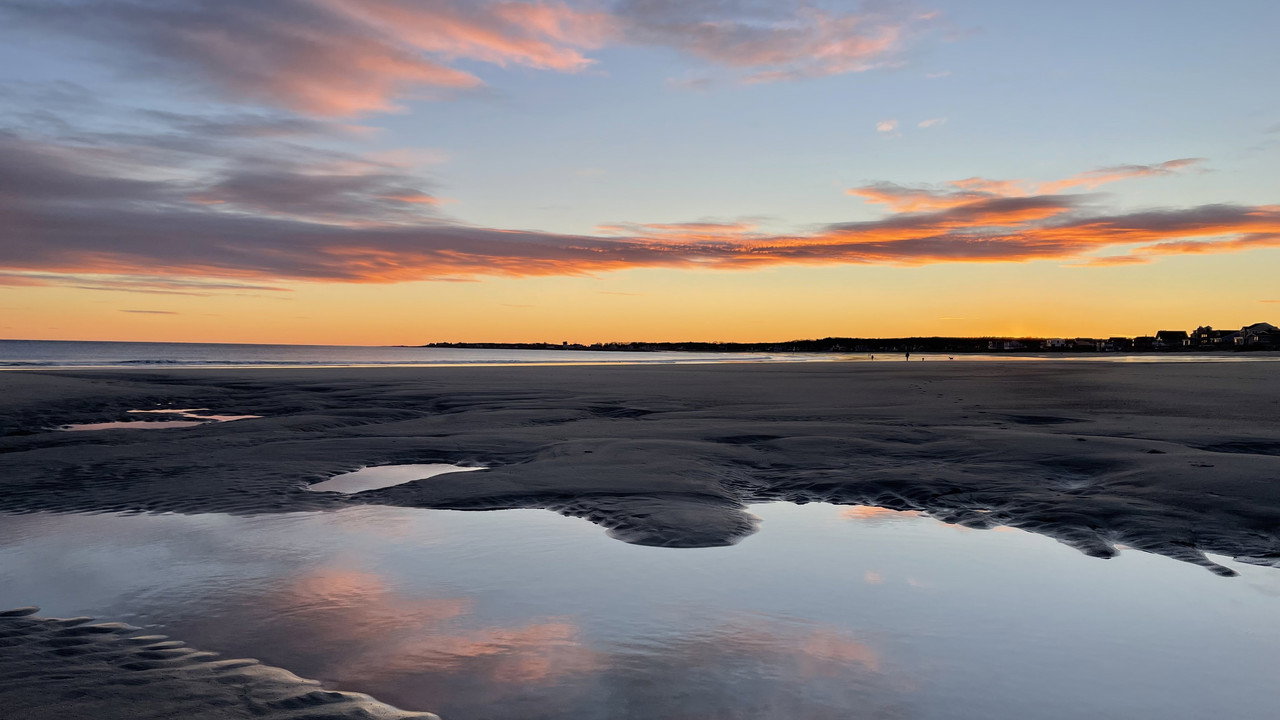 The Painter backdrop